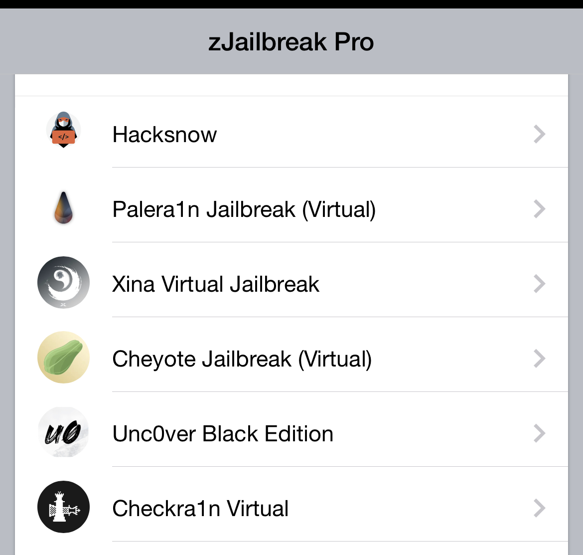 Palera1n virtual on zJailbreak