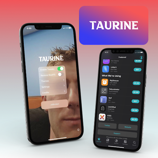 Setup] Taffy theme with Tauraine jailbreak iPhone 12 Pro max 14.3 :  r/iOSthemes