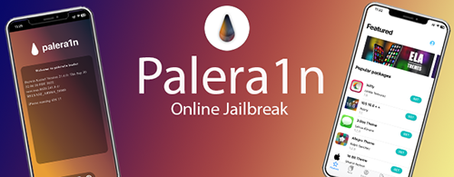 Palera1n online tool