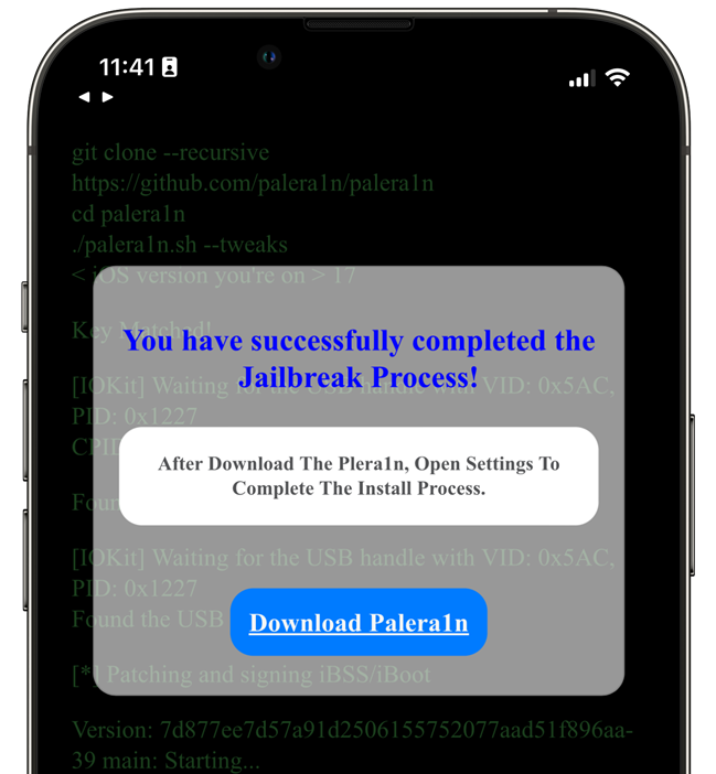 Palera1n online ntool Download window