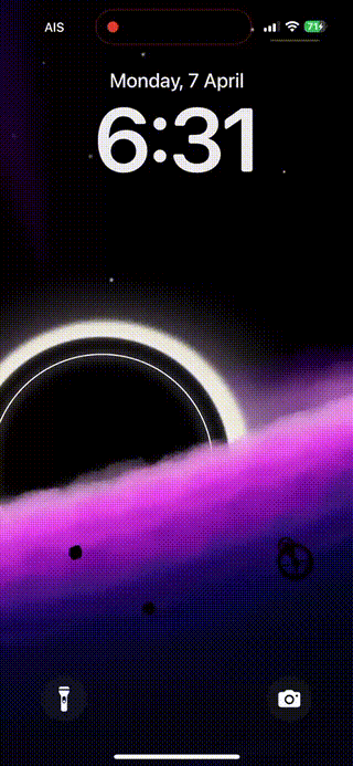 Black Hole