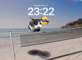 Cat Volleyball